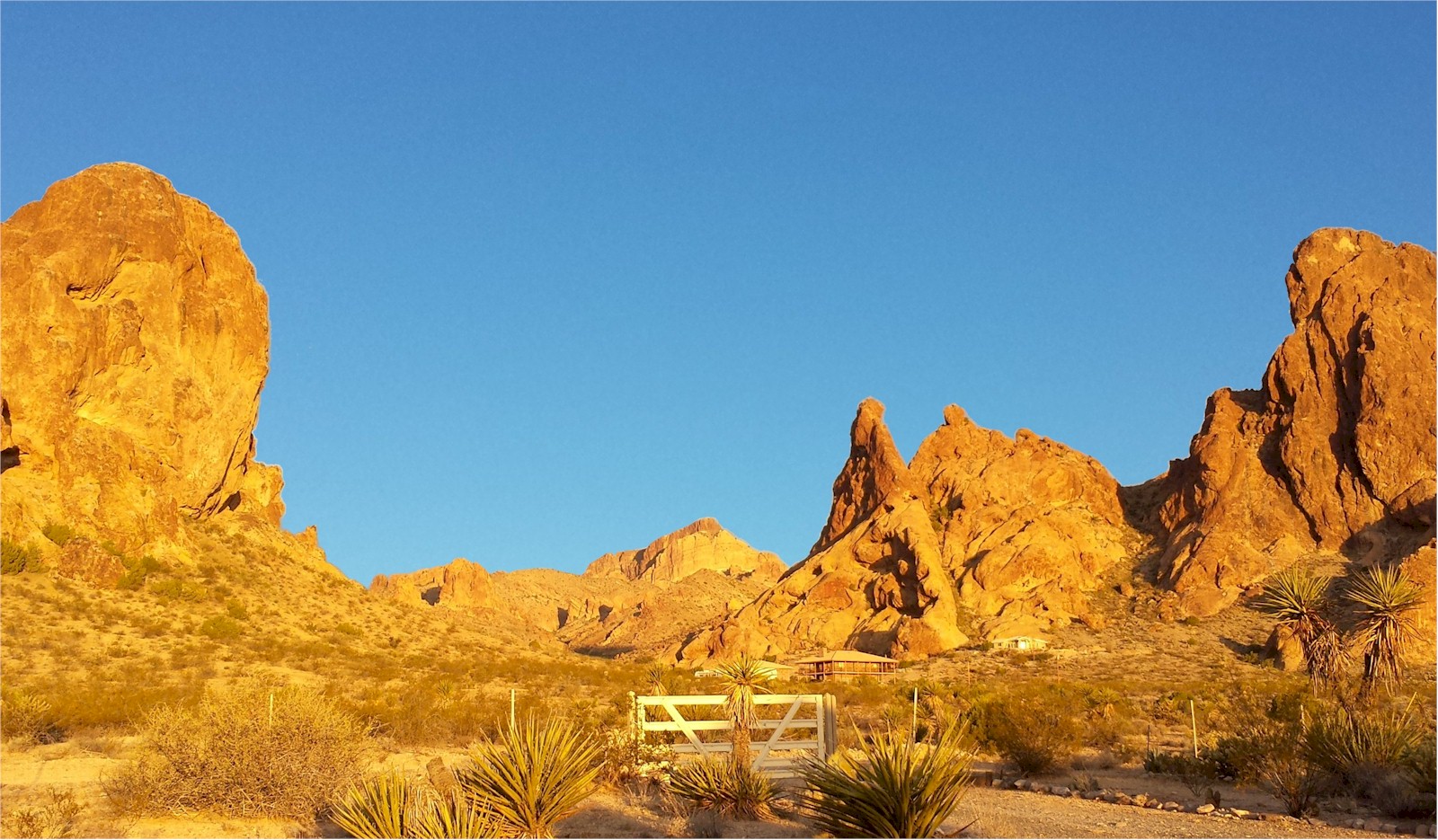 View from The Golden Cactus Ranch